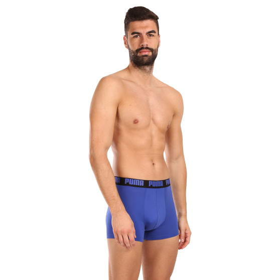 2PACK ανδρικό σορτς μποξεράκι Puma πολύχρωμο (521015001 063)