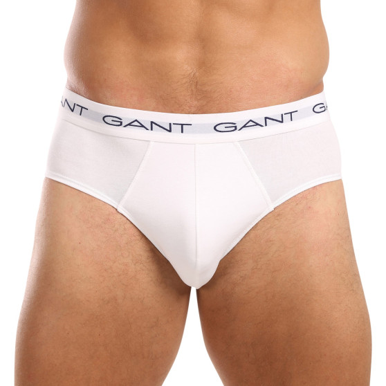 3PACK Gant ανδρικό σλιπ πολύχρωμο (900013001-093)