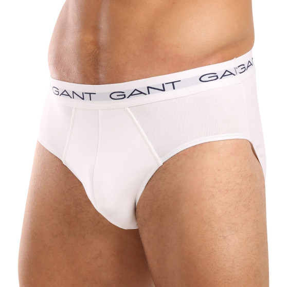 3PACK Gant ανδρικό σλιπ πολύχρωμο (900013001-093)