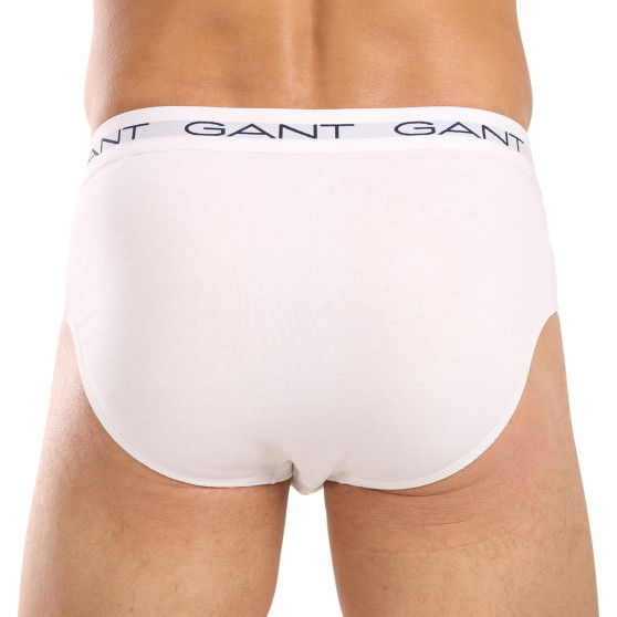 3PACK Gant ανδρικό σλιπ πολύχρωμο (900013001-093)