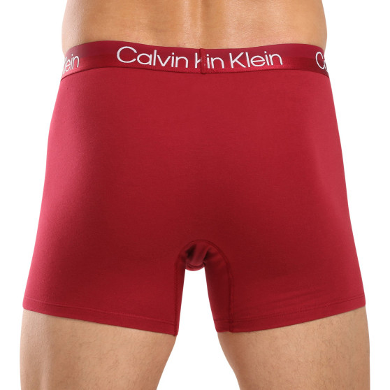 3PACK ανδρικό σορτς μποξεράκι Calvin Klein πολύχρωμο (NB2971A-MCI)