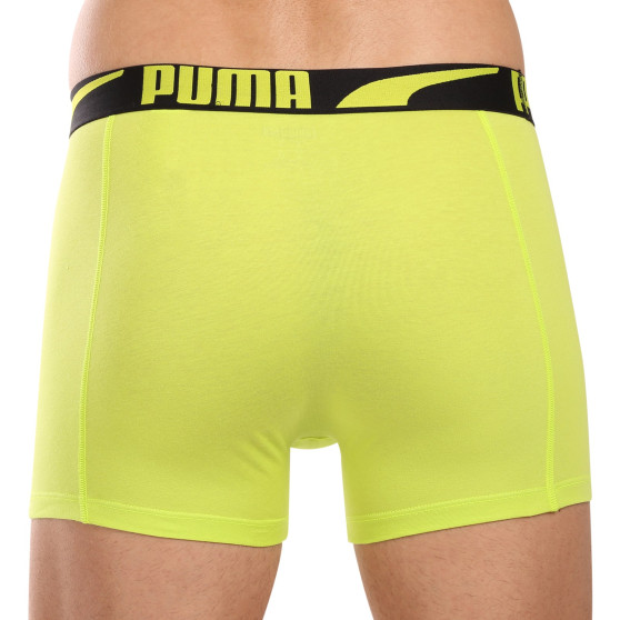 2PACK ανδρικό σορτς μποξεράκι Puma πολύχρωμο (701225876 001)