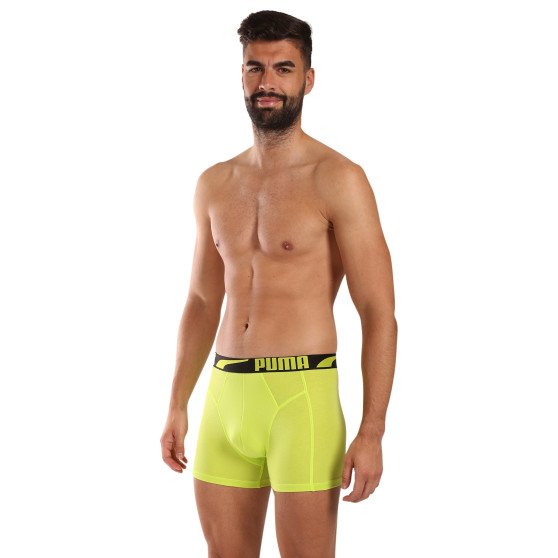 2PACK ανδρικό σορτς μποξεράκι Puma πολύχρωμο (701225876 001)