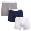 3PACK ανδρικό σορτς μποξεράκι Calvin Klein πολύχρωμο (NB3954A-PS9)