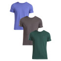 3PACK Tommy Hilfiger ανδρικό t-shirt πολύχρωμο (UM0UM03379 0UI)